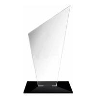 Brinde Troféu Acrílico 10x15cm Personalizado - Veg Brindes.